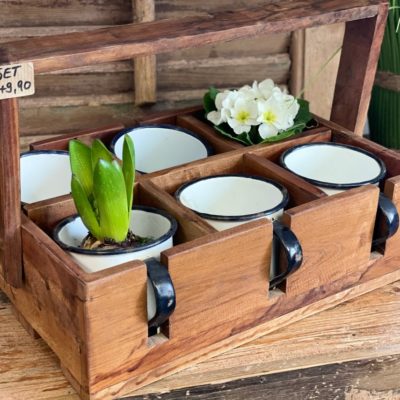 Holzkiste mit 6 Emaillietassen