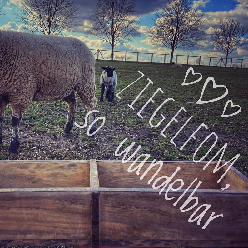 Ziegelform – Bild 3